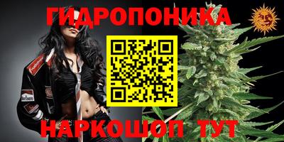эйфоретик Бугуруслан