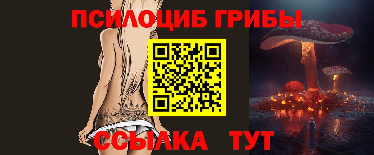 Псилоцибиновые грибы Psilocybine cubensis  Вход с VPN  Заинск 