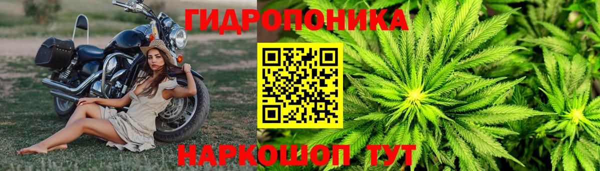 Бошки Шишки тримм  Конопля AK-47  Канабис план  Вход с VPN  Заинск 